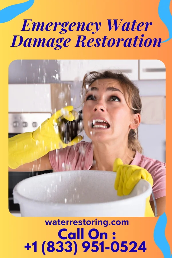 Emergency Water Damage Restoration in Coconut Creek, FL
