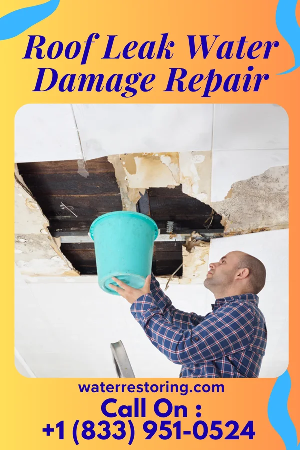 Roof Leak Water Damage Repair in Coconut Creek, FL